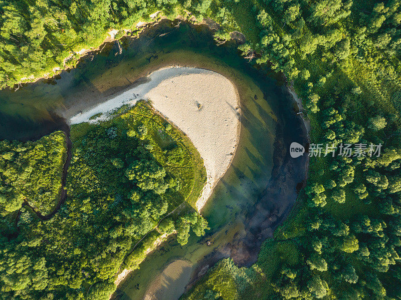 河流流经绿色森林景观