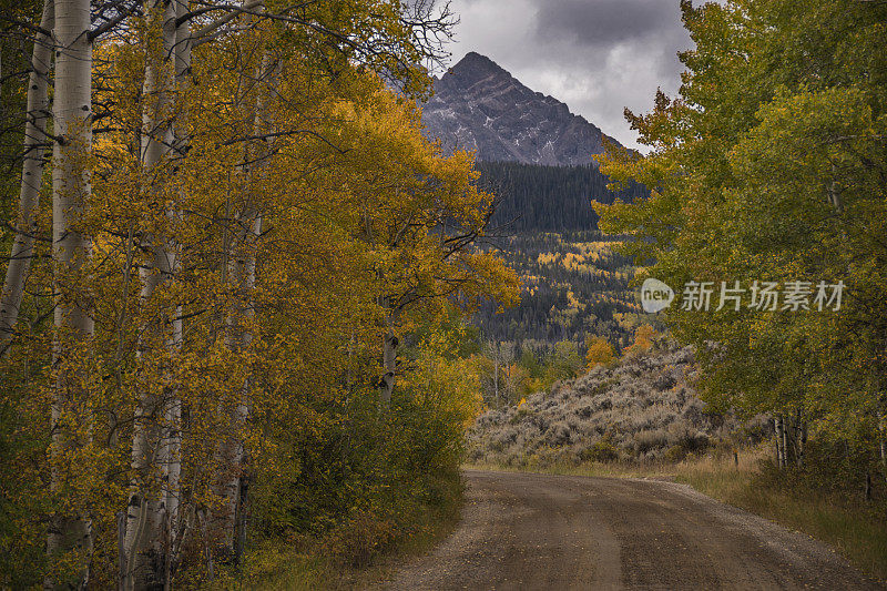 科罗拉多州落基山脉的秋色