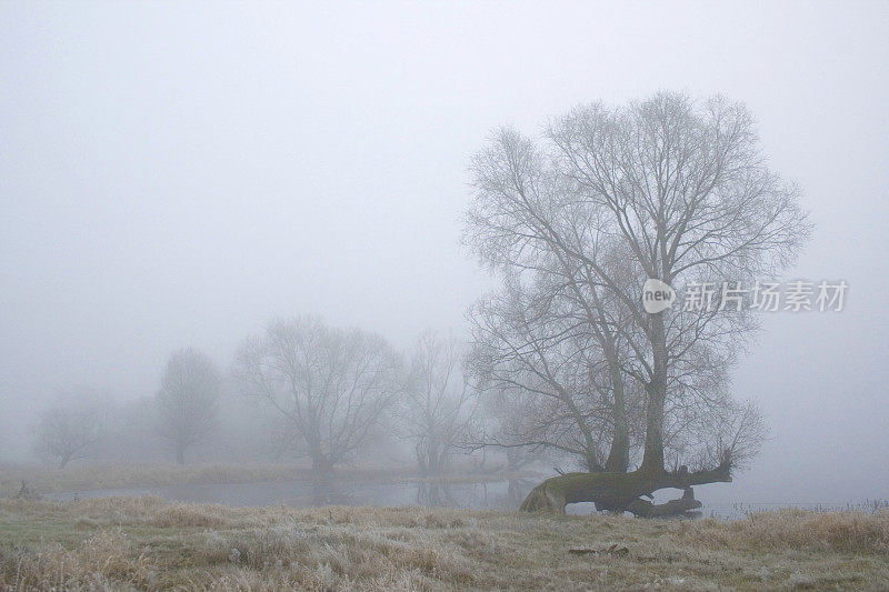 奥德拉河边雾气弥漫的冬日清晨