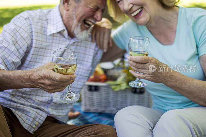 快乐的老年夫妇拿着白葡萄酒在公园野餐