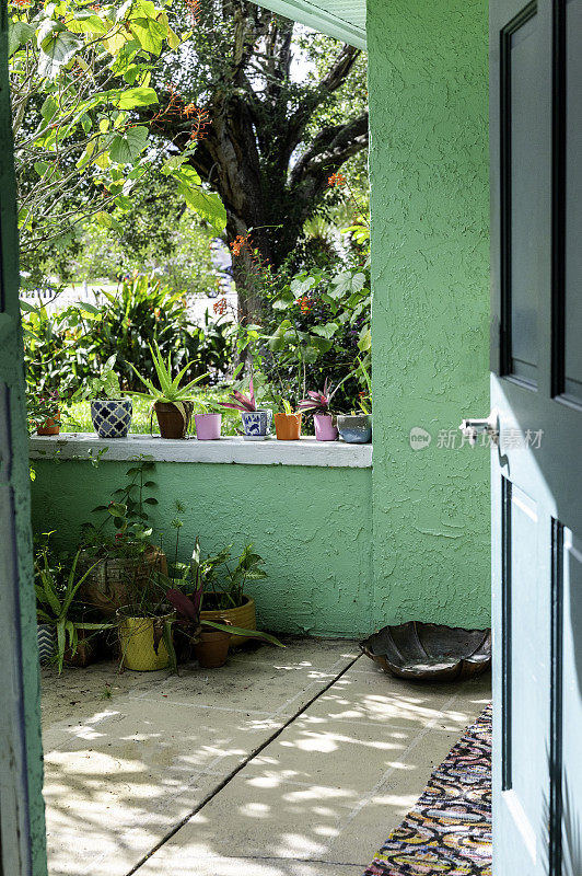 一户人家的前门排列着五颜六色的花盆