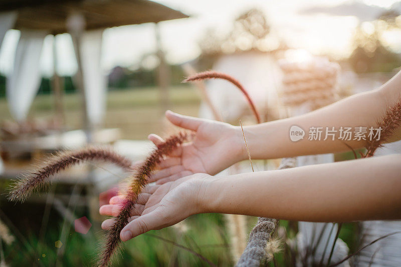 感受冬日里紫色的花朵。