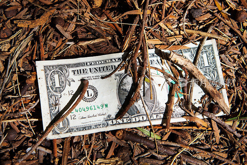 代表通货膨胀、经济衰退或货币危机的美元纸币肮脏地躺在落叶堆中