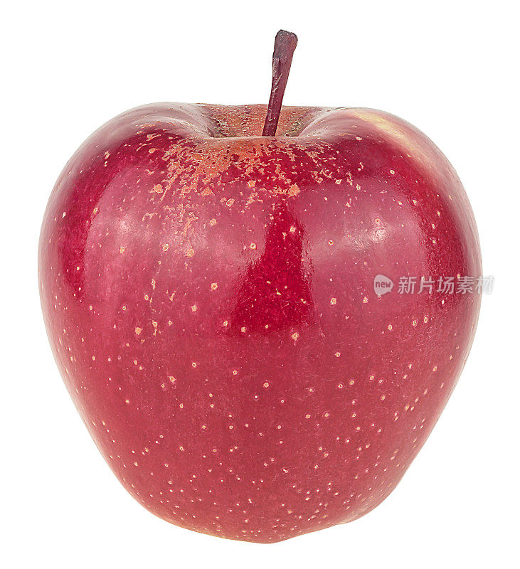 单瓣新鲜的红苹果，白色背景上有独立的茎