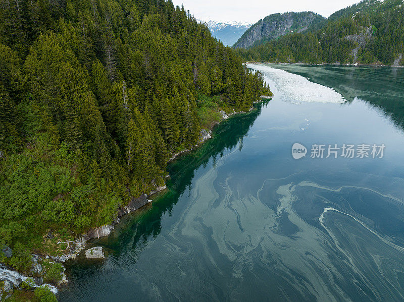 一个高山湖的海岸线