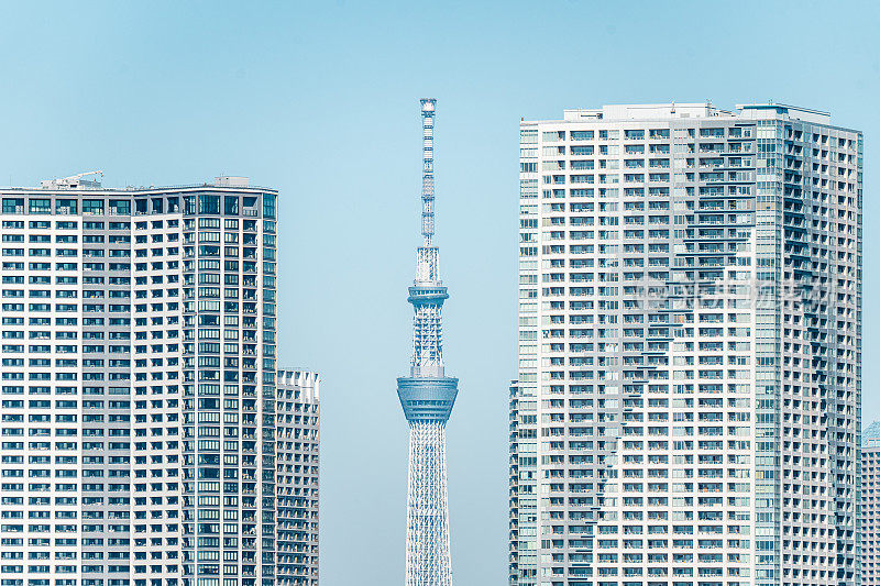 东京天空树和住宅区