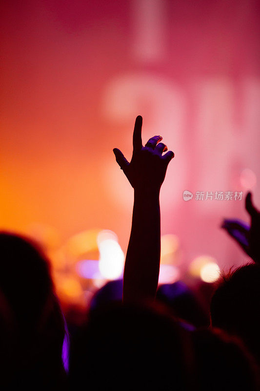 音乐会上快乐乐迷的剪影。兴奋的乐迷在夜总会的音乐会上举手