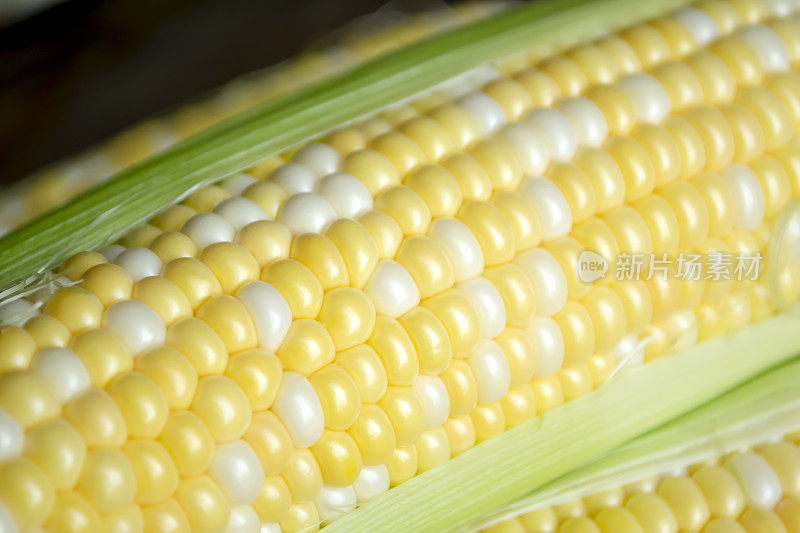 玉米芯特写与白色和黄色的谷物。一个特写的玉米被抽。卡坎的玉米粒。