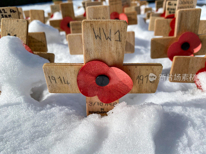 纪念第一次世界大战死者的十字架和罂粟花