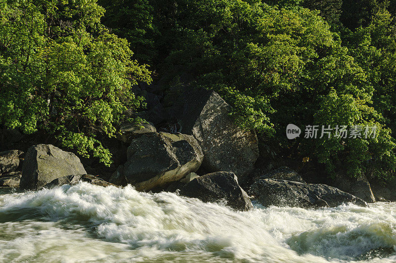 优胜美地的默塞德河沿岸树木繁茂