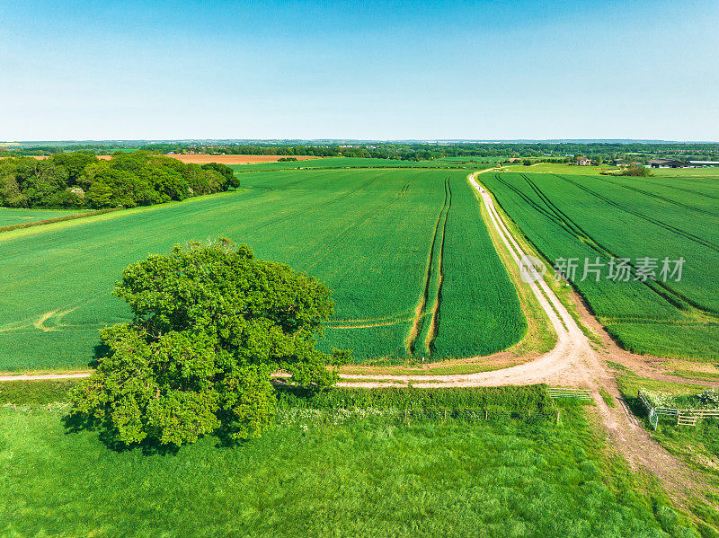 鸟瞰图，美丽的农田与多云的蓝天在英国
