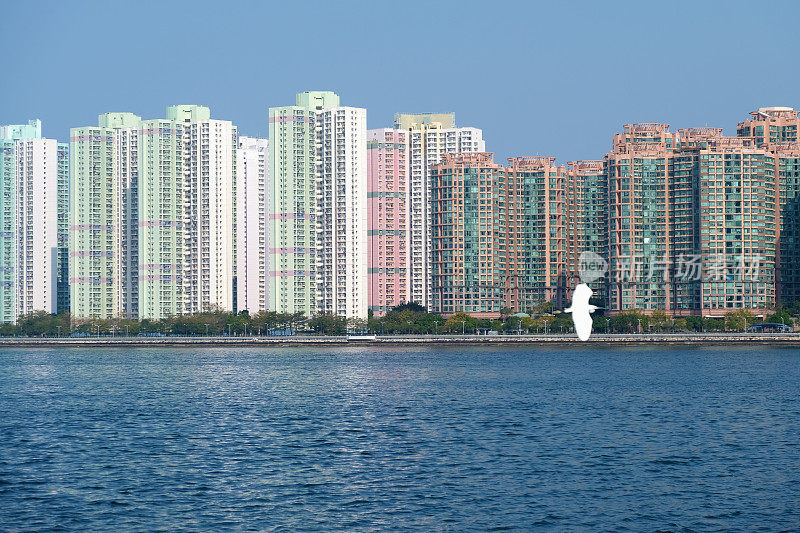 香港马鞍山吐露港的住宅大厦