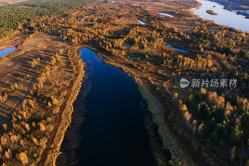 湖。秋季森林鸟瞰图。无人机摄影。字段。可持续性。保护自然。