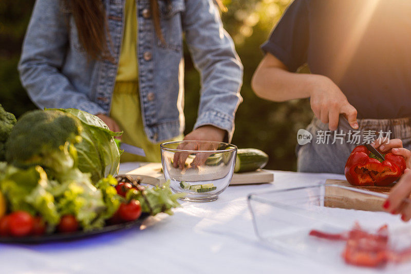 两个小女孩在切蔬菜做沙拉