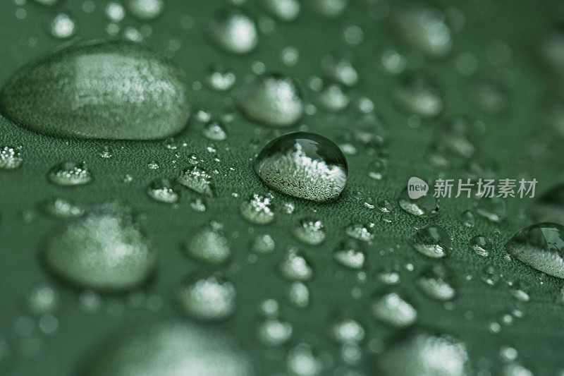 美丽的水滴雨后绿叶宏观