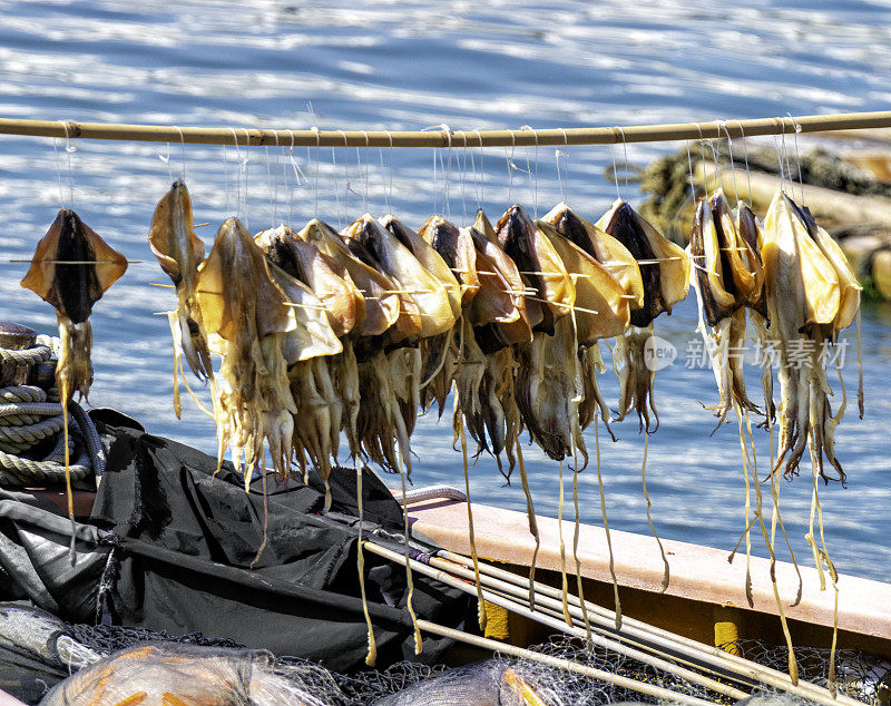渔民在渔船上晒鱿鱼。