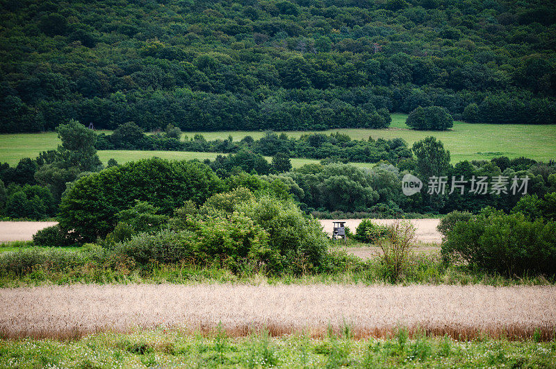 斯洛伐克草地