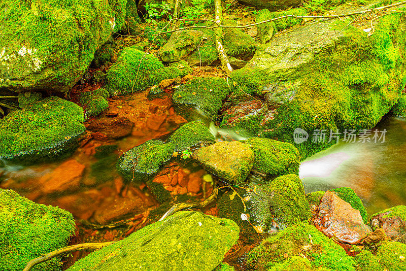 秋溪林地，有树有叶，山林岩石。田园诗般的旅行远足景观。