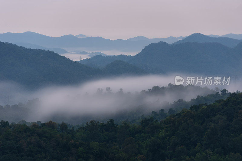 清晨的风景，金色的光线，日出，雾气笼罩着森林。