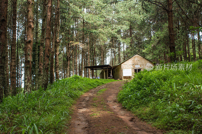 在南非Magoebaskloof的一个松树种植园里，一个废弃的旧马厩被改造成了一个过夜的徒步小屋