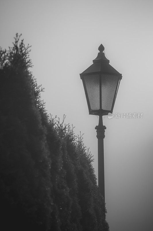 雾蒙蒙的环境中，灯柱的单色照片