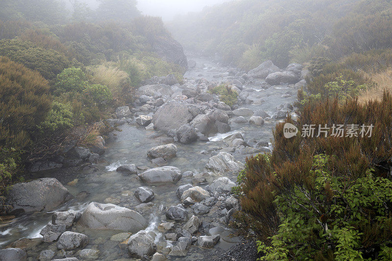 沿着阿瑟山口国家公园的多布森自然步道小溪