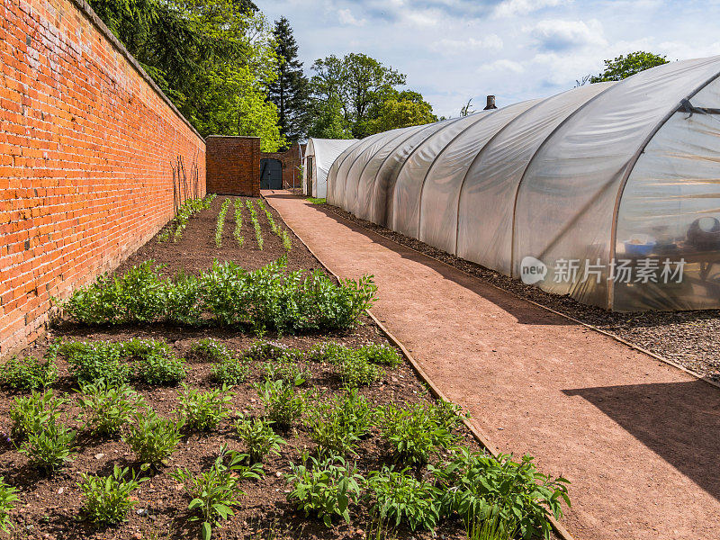 Polytunnels市场花园植物苗圃农场种植温室作物