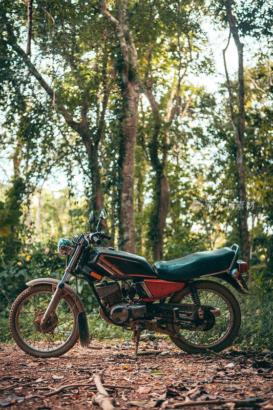 老式摩托车停在丛林里