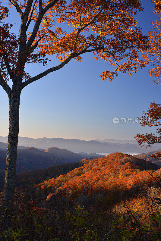 大烟山的秋天早晨