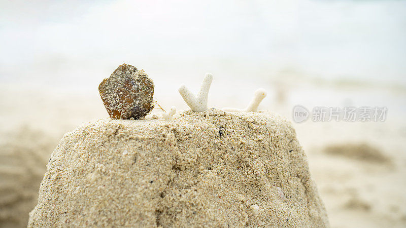 贝壳在长滩岛的白色沙滩上
