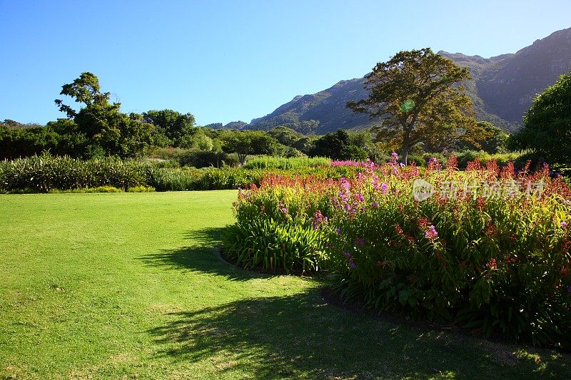 开普敦的Kirstenbosch植物园