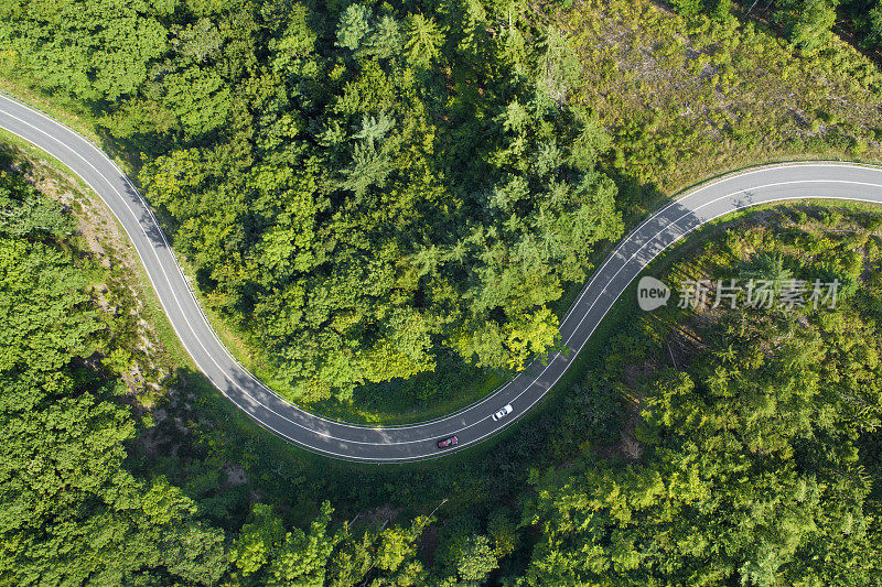 森林鸟瞰图中的道路曲线