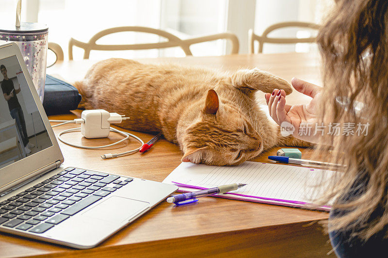 学生和她的猫在家里上课