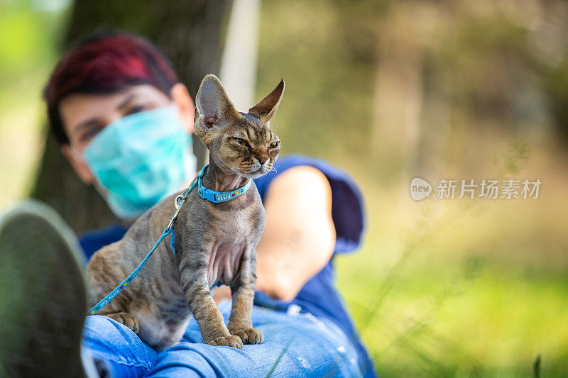 在冠状病毒大流行期间，德文郡雷克斯小猫和戴口罩的主人在户外休息-库存照片