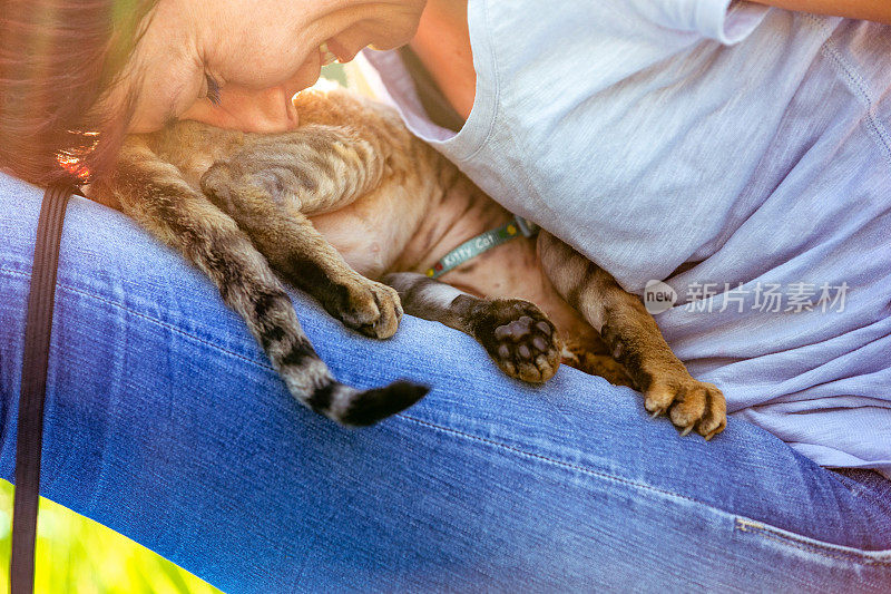 微笑的成年女人连接和放松与她的德文雷克斯猫-库存照片