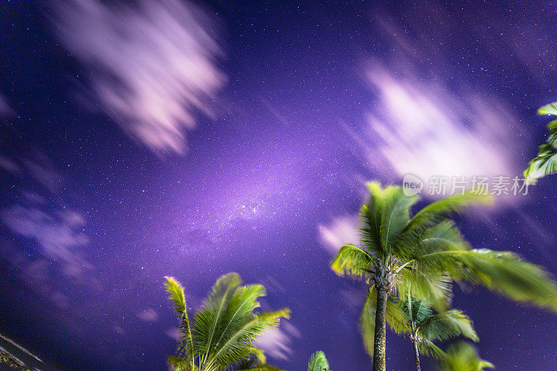 巴西巴伊亚的夜空上的银河和棕榈树-星星景观