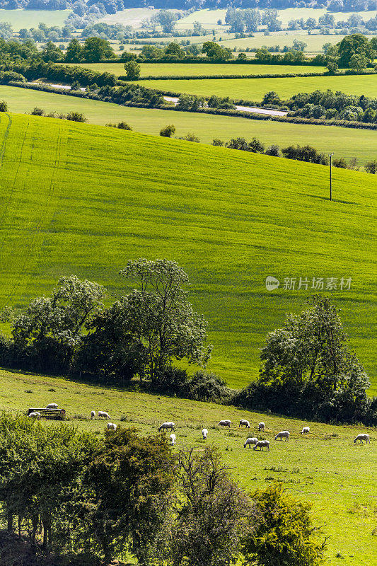 伯顿达塞特山俯瞰英国风景，英国中部的沃里克郡