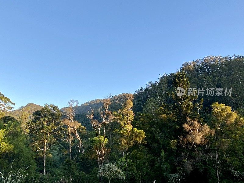 Huonbrook山谷雨林