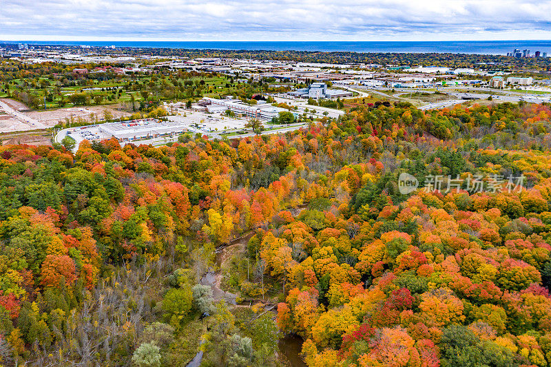 空中勃朗特溪秋季省级公园，奥克维尔，加拿大