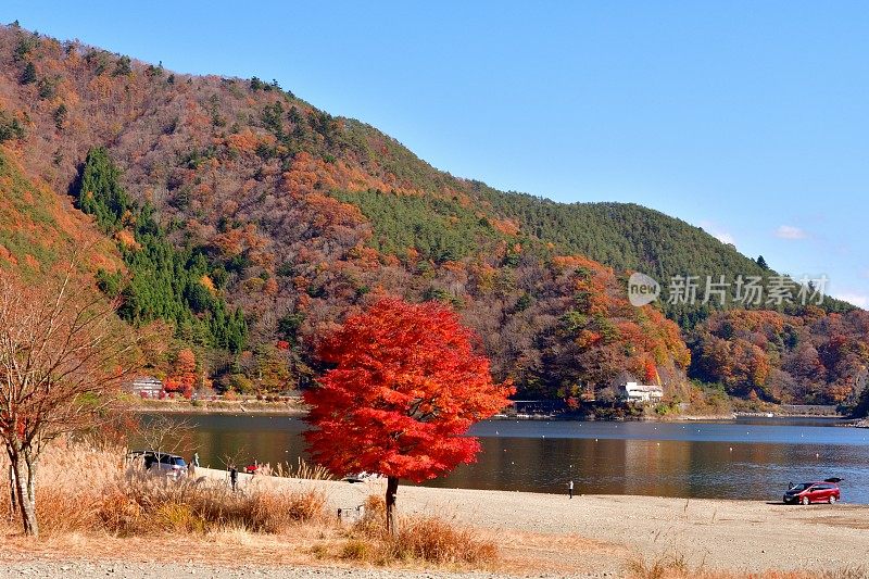 富士五湖秋叶色:正二湖