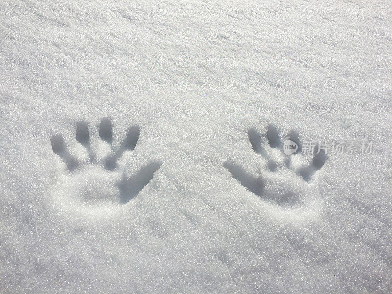 雪地里有手印