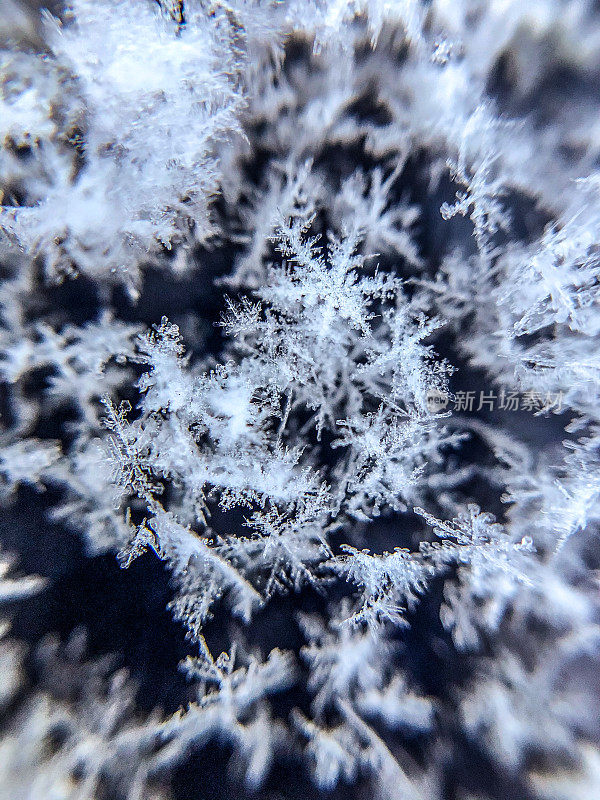 雪花的背景