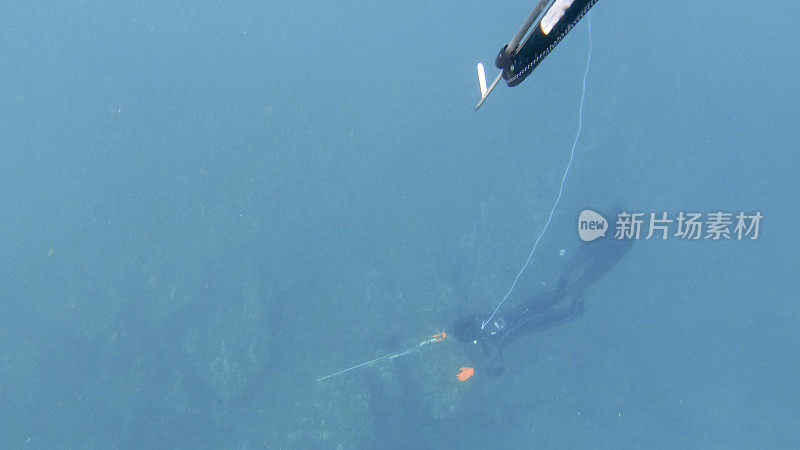 鱼叉渔民潜入太平洋深处的水下视图