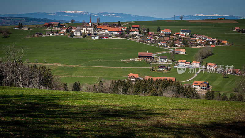 田园诗般的风景。瑞士圣马丁村庄的全景，有农田和树木。