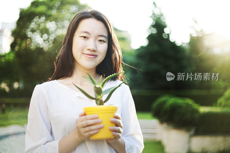 吉尔拿着芦荟