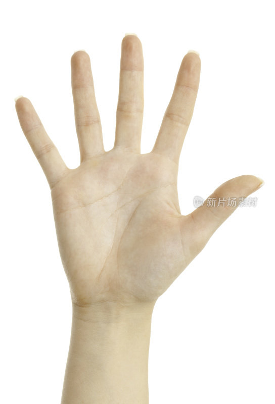 女人的五个手指