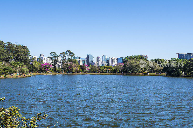 巴西圣保罗的Ibirapuera公园湖
