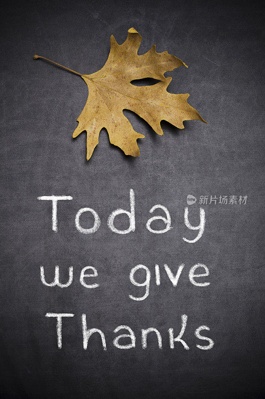 今天我们感恩