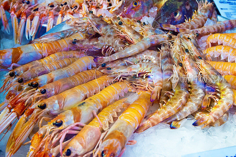 意大利地中海海螯虾，虾贝类