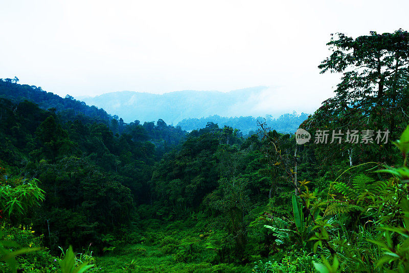 卡梅隆高地的早晨